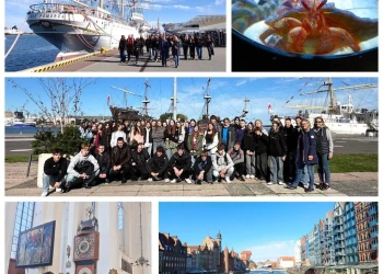 Stegna_2024-1